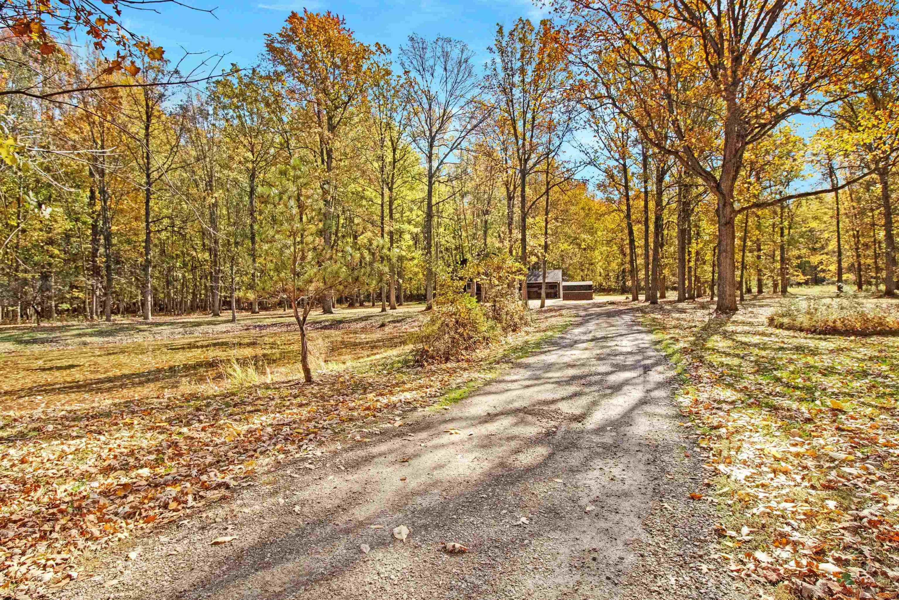 14757 Terry Road, Capac, MI 48002 — Photo 23
