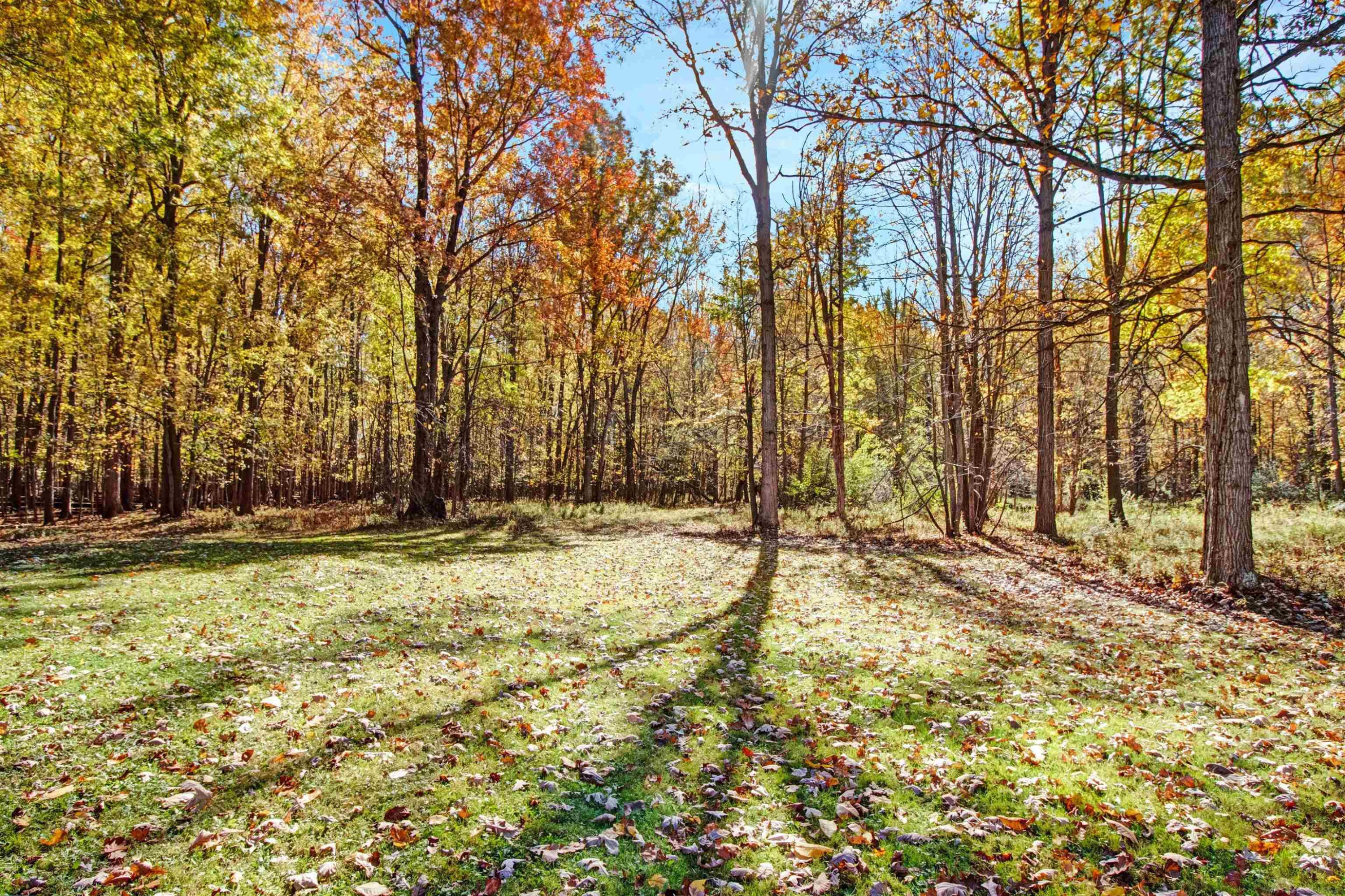 14757 Terry Road, Capac, MI 48002 — Photo 26
