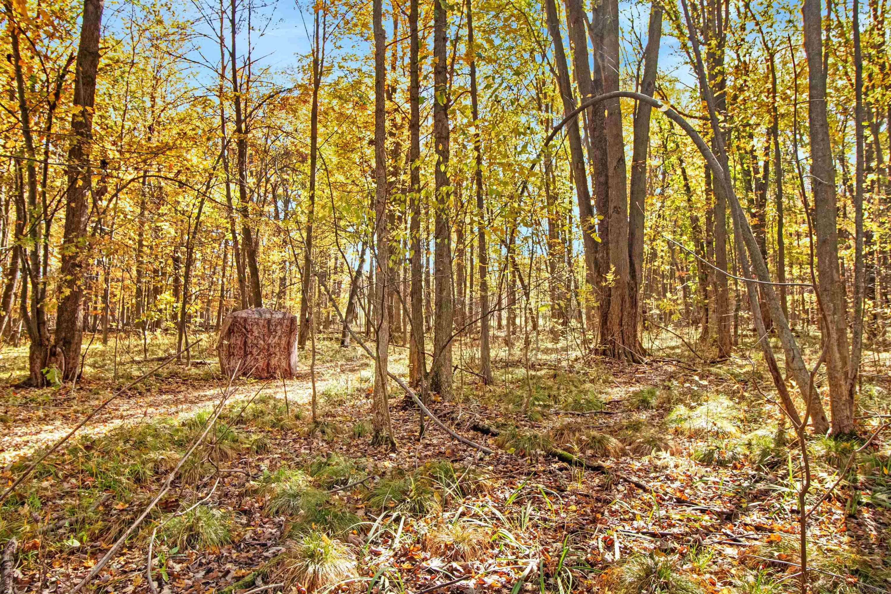 14757 Terry Road, Capac, MI 48002 — Photo 28