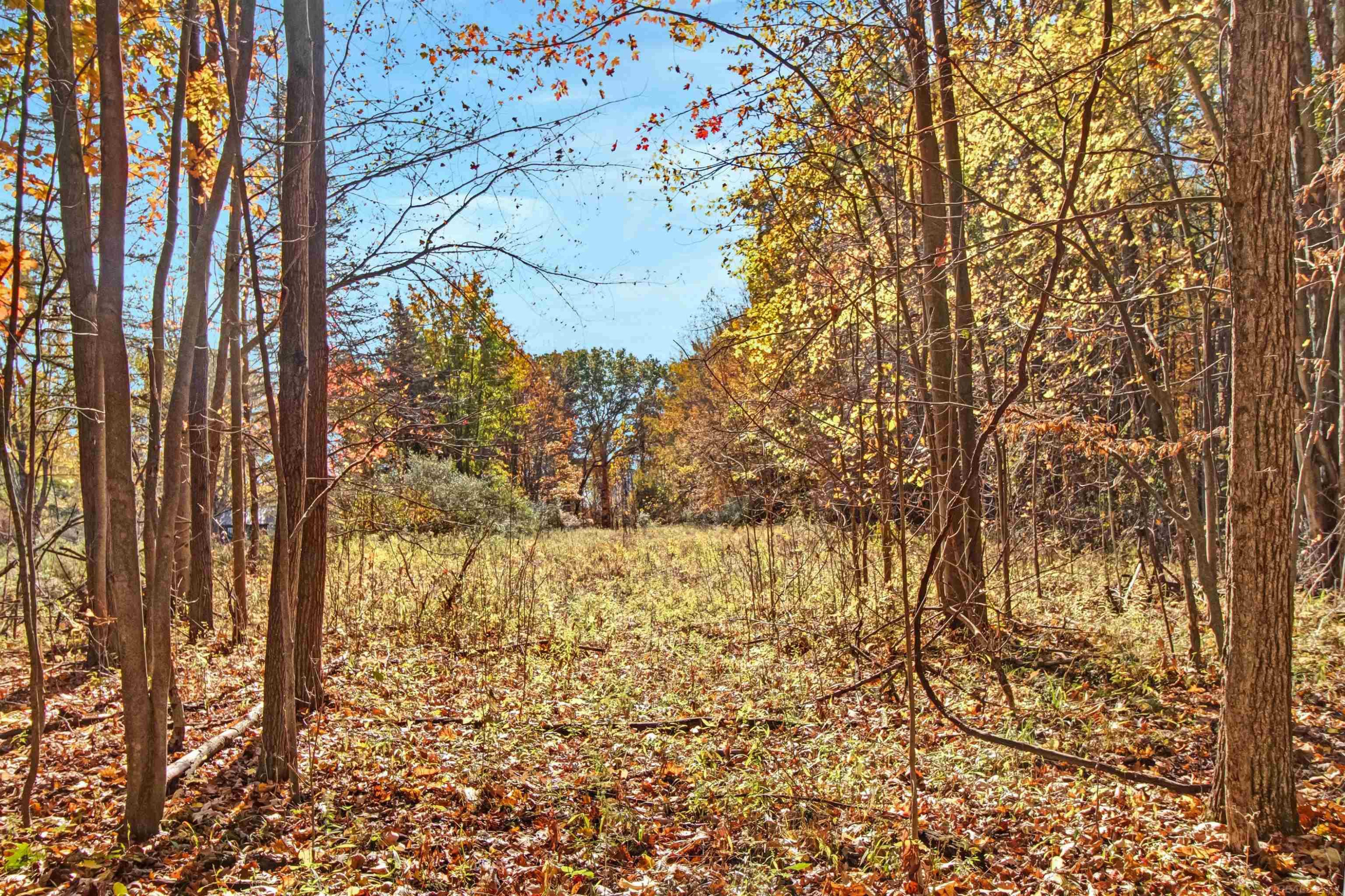14757 Terry Road, Capac, MI 48002 — Photo 30