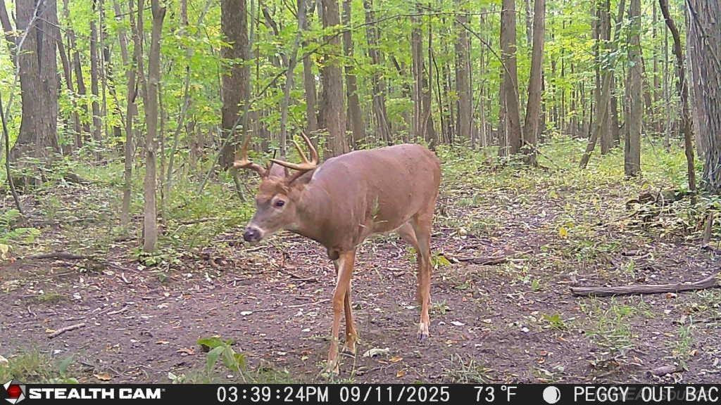 14757 Terry Road, Capac, MI 48002 — Photo 31