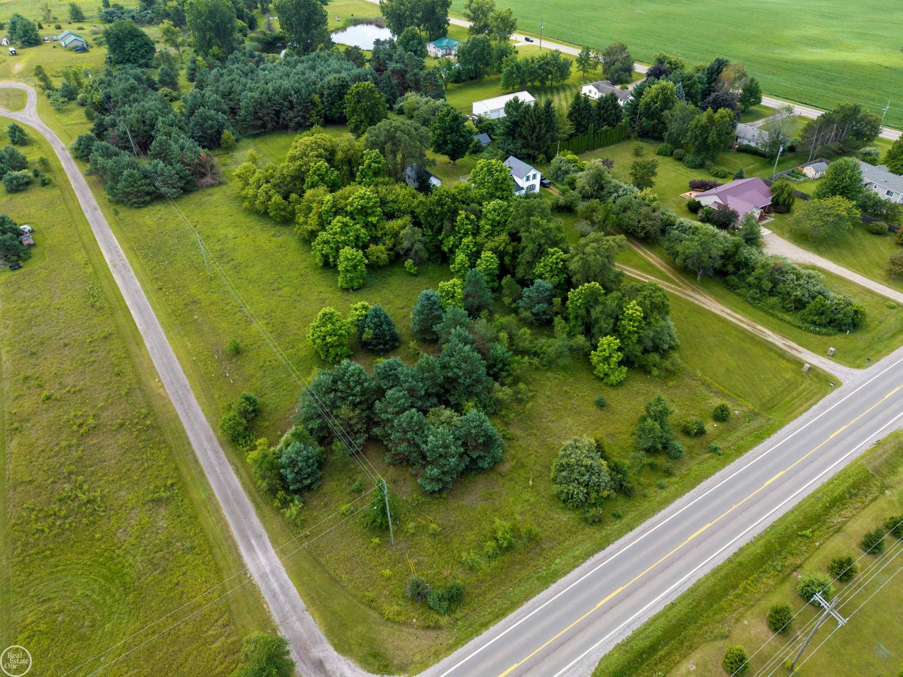 2538 Burnside Road, North Branch, MI 48461 — Photo 46