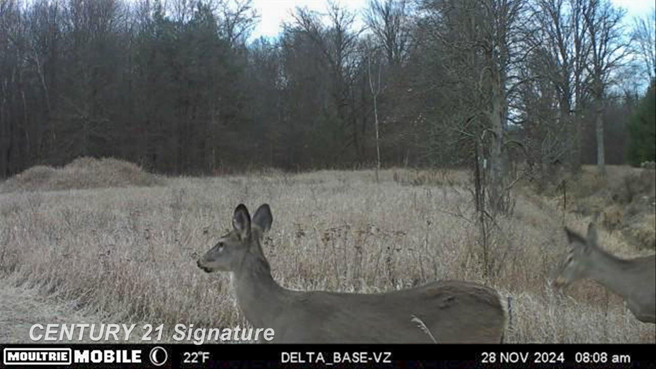 132 N Nine Mile Road, Midland, MI 48640 — Photo 79