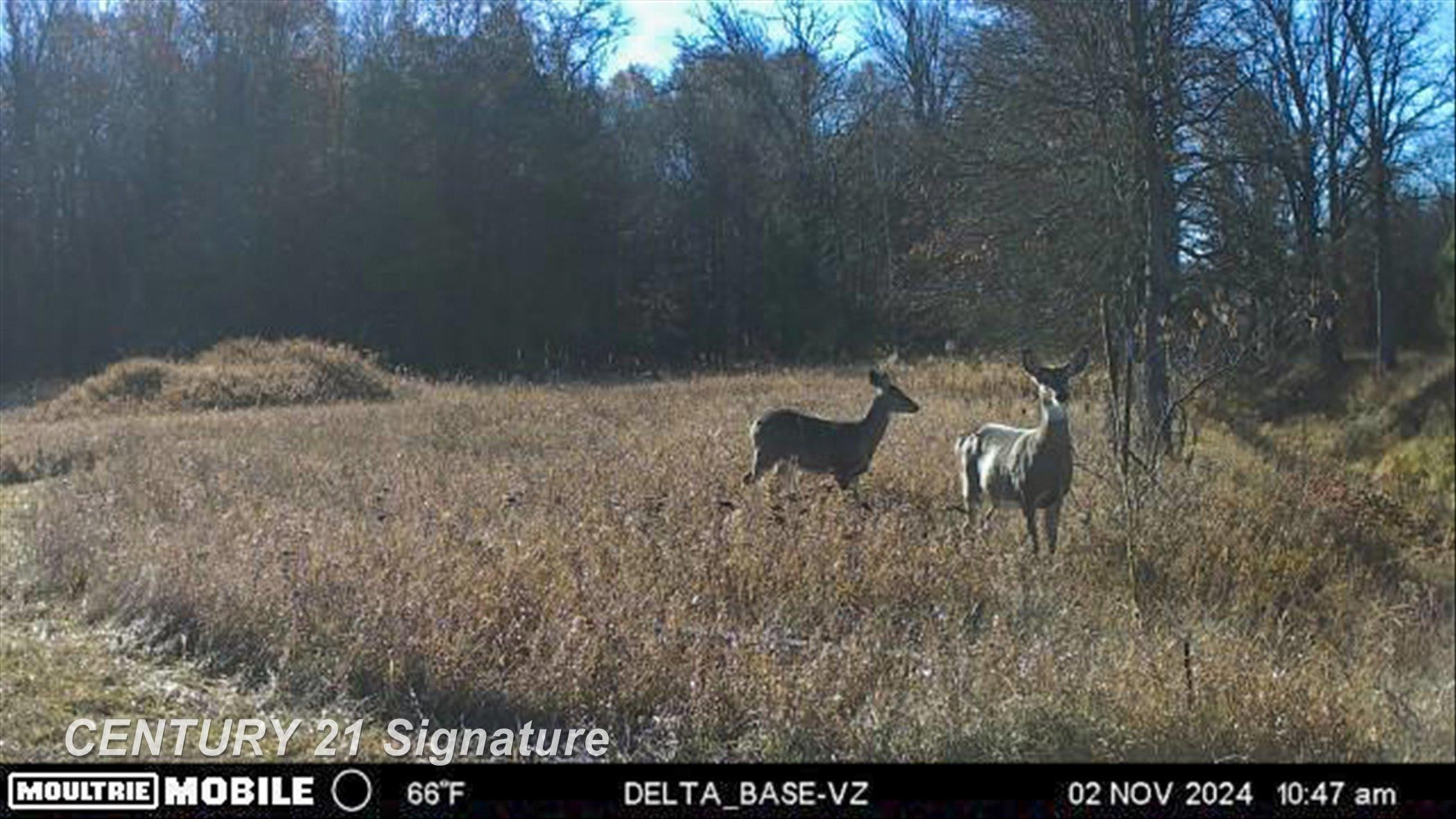 132 N Nine Mile Road, Midland, MI 48640 — Photo 80