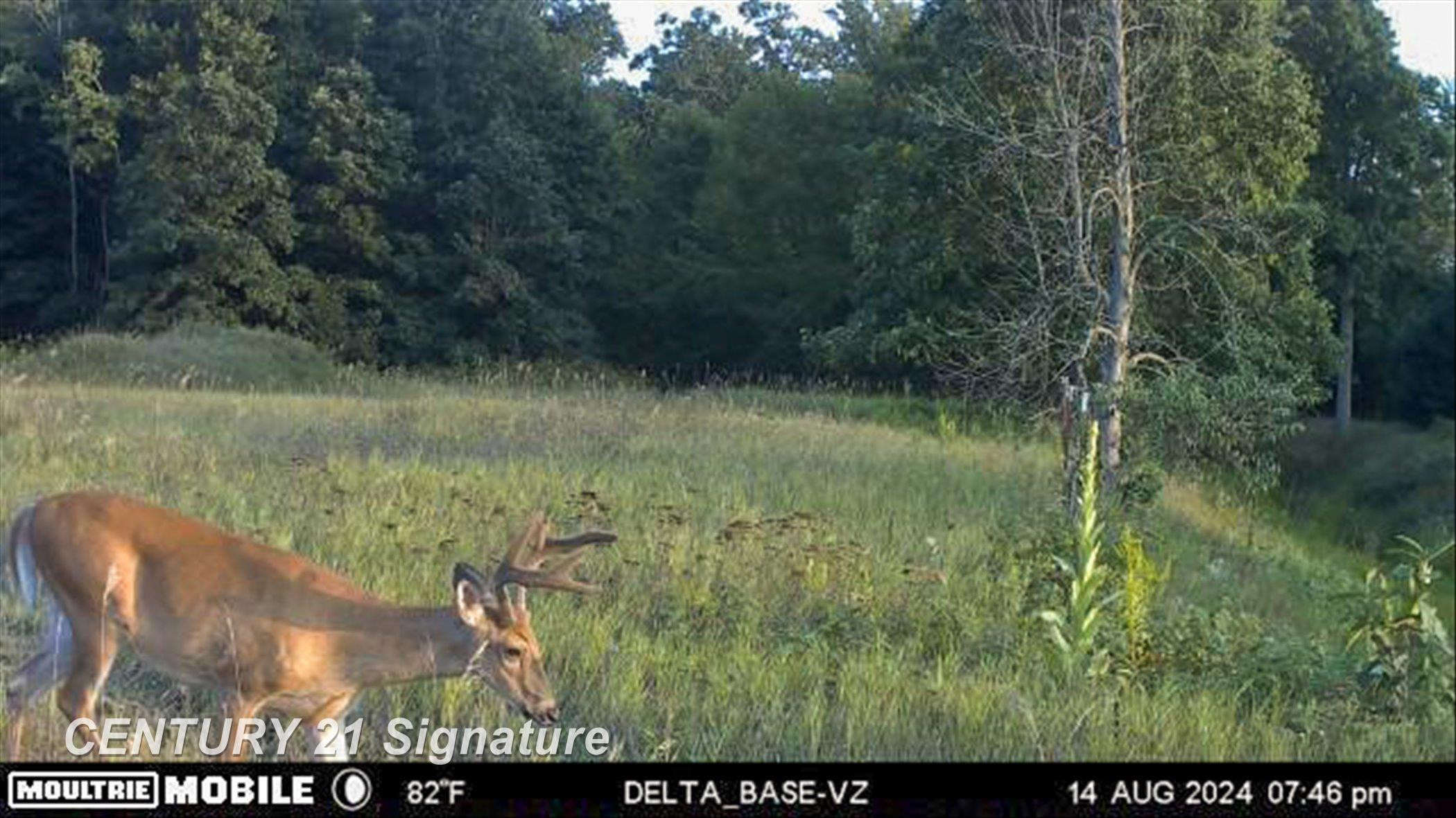 132 N Nine Mile Road, Midland, MI 48640 — Photo 82