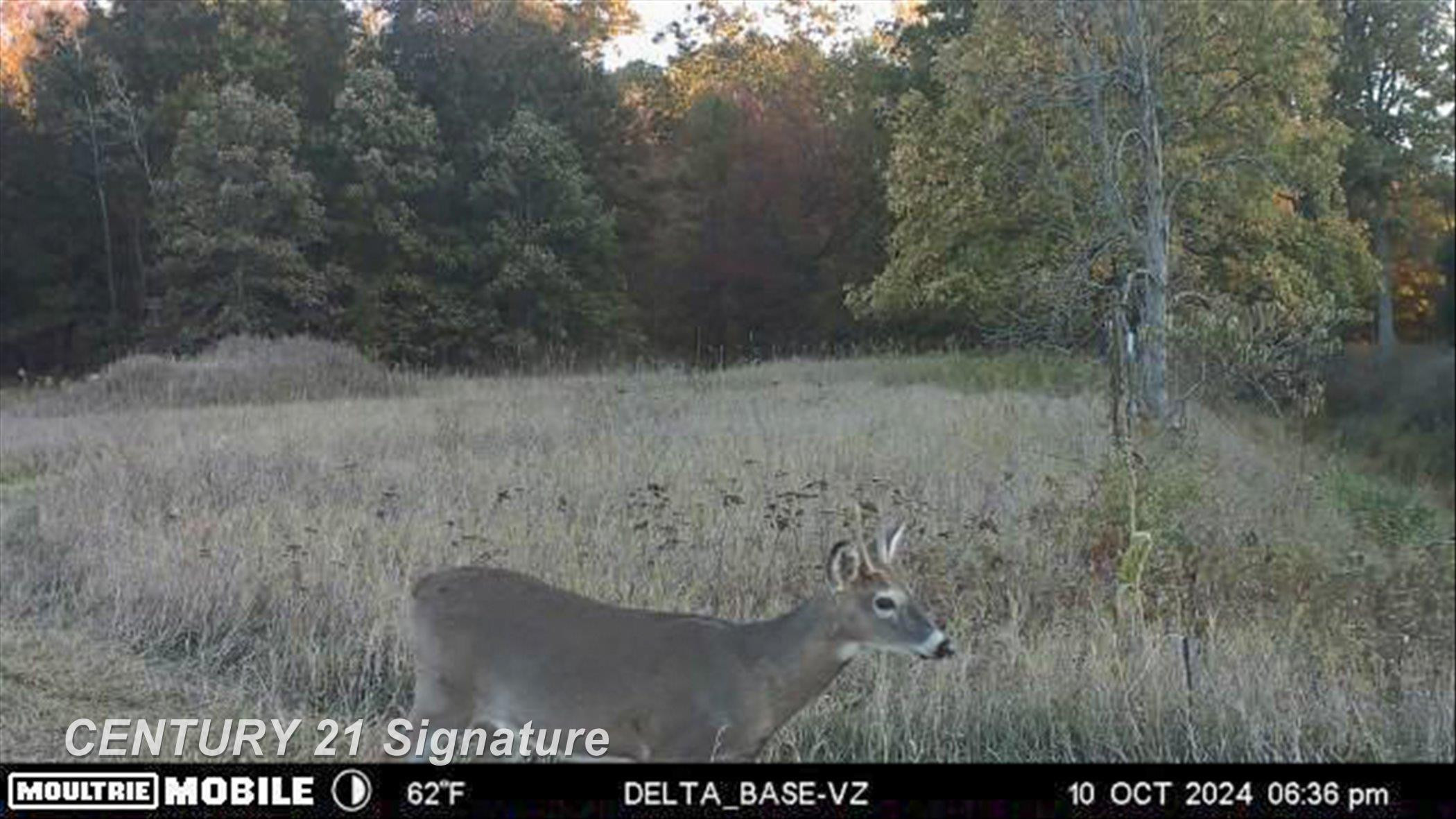 132 N Nine Mile Road, Midland, MI 48640 — Photo 83