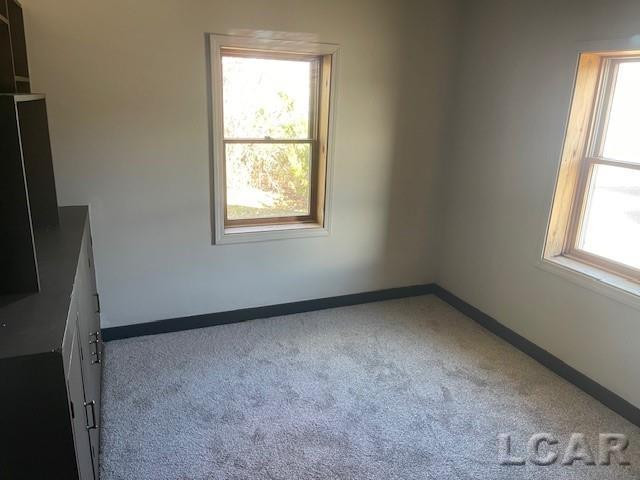 110 Jackson Street, Brooklyn, MI 49230 — Photo 4