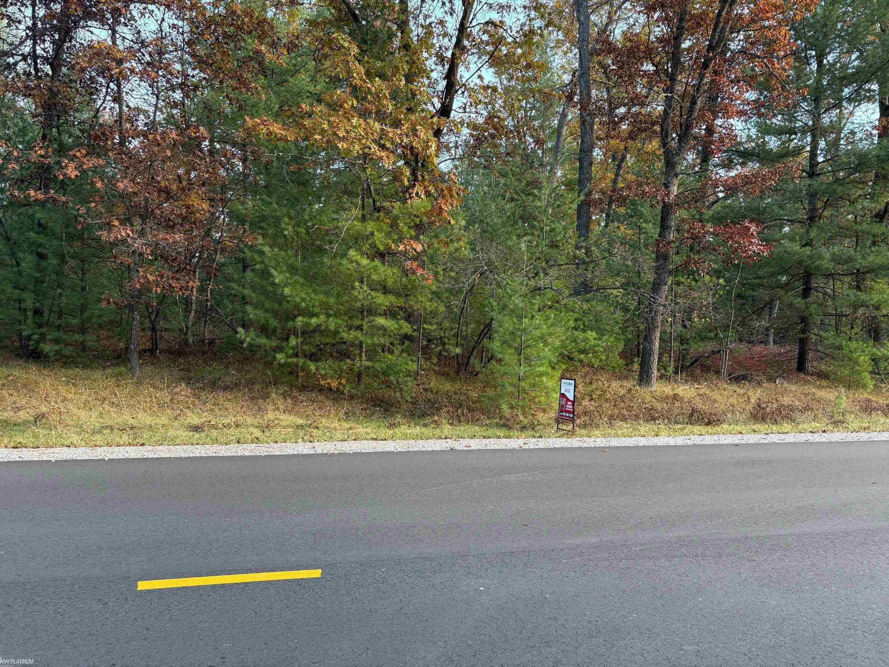 Lot 99 Wilderness Drive, Alger, MI 48610 — Photo 2