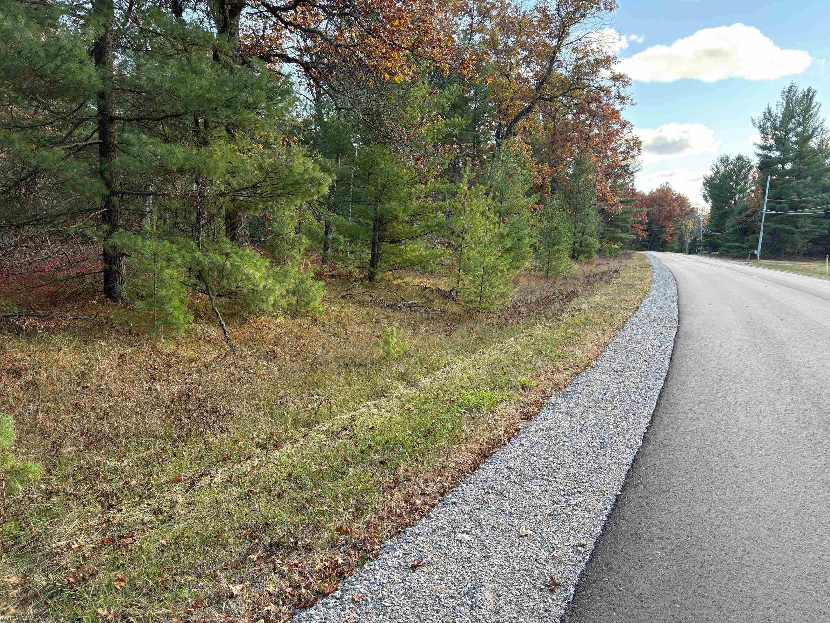 Lot 99 Wilderness Drive, Alger, MI 48610 — Photo 13