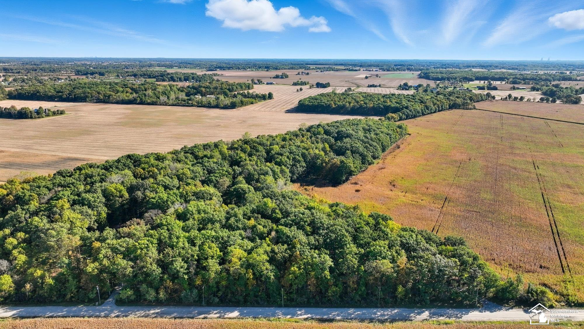 9150 Doty Rd Road, Maybee, MI — Photo 47