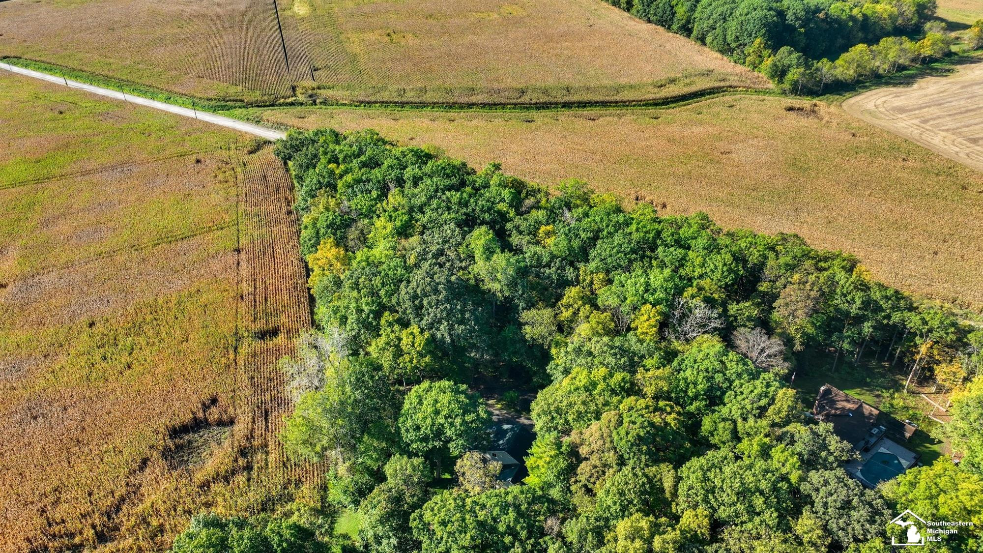 9150 Doty Rd Road, Maybee, MI — Photo 48