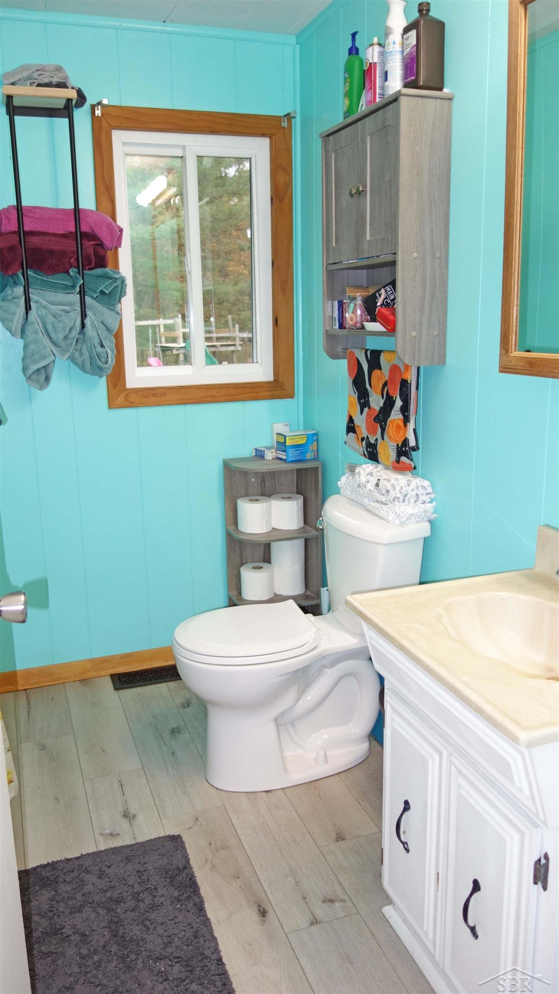 5400 W Burt Road, Montrose, MI 48457 — Photo 12
