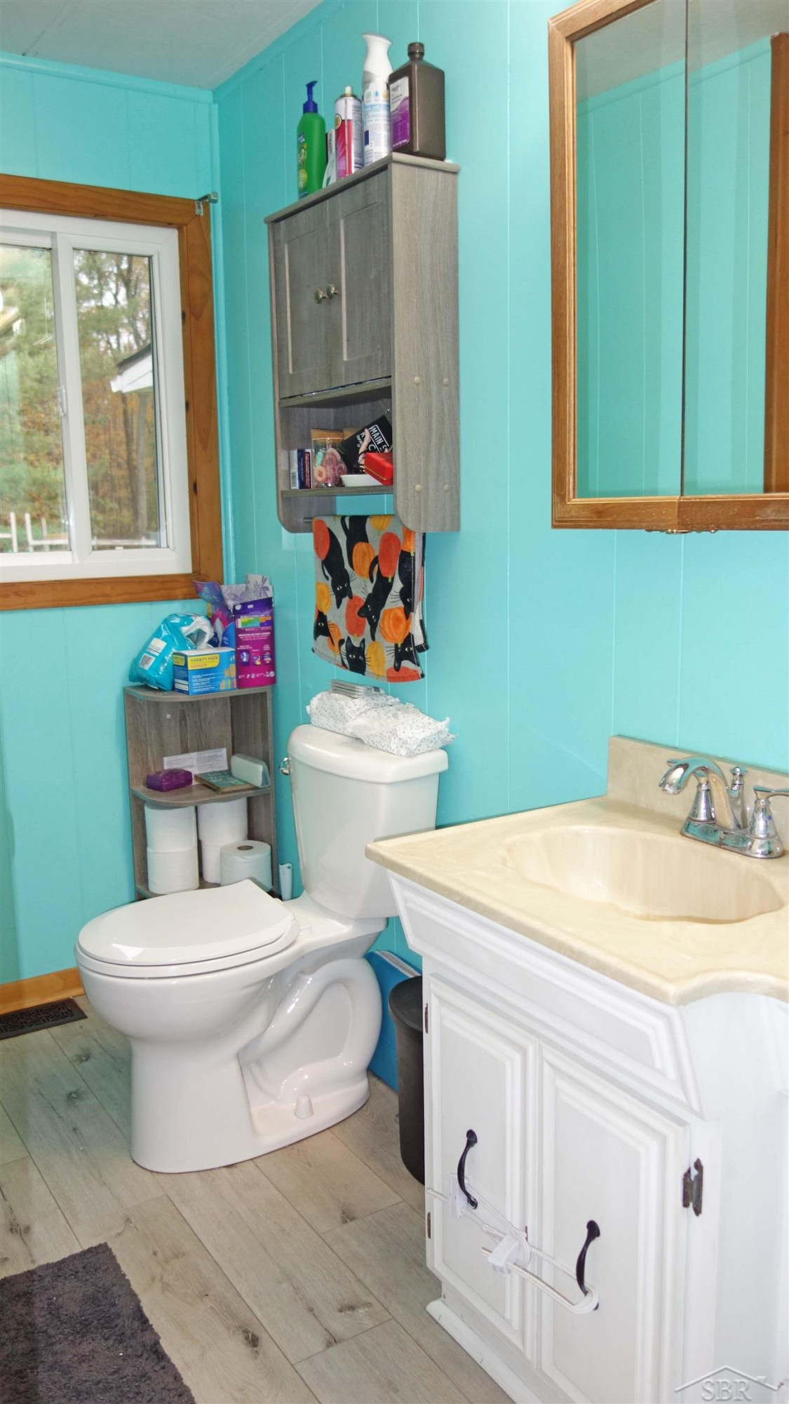 5400 W Burt Road, Montrose, MI 48457 — Photo 13
