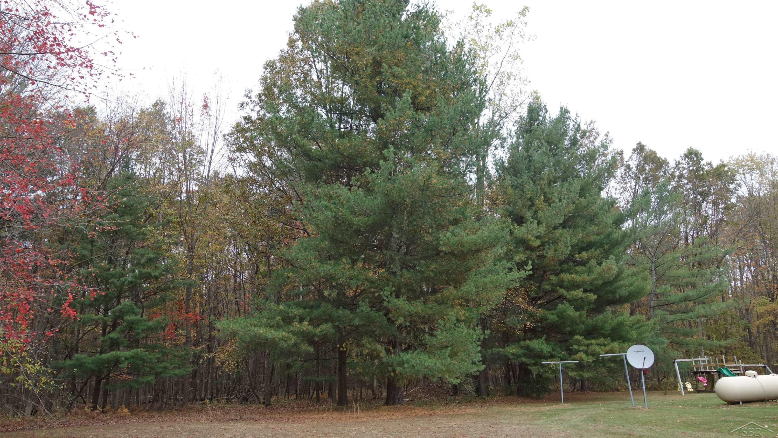5400 W Burt Road, Montrose, MI 48457 — Photo 28