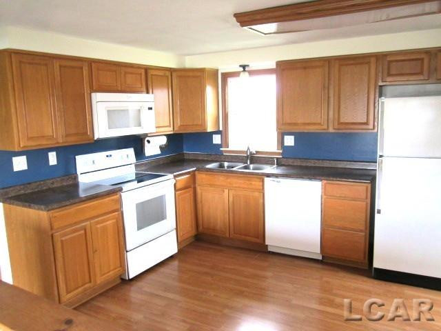 8160 Bothwell Highway, Morenci, MI 49256 — Photo 6
