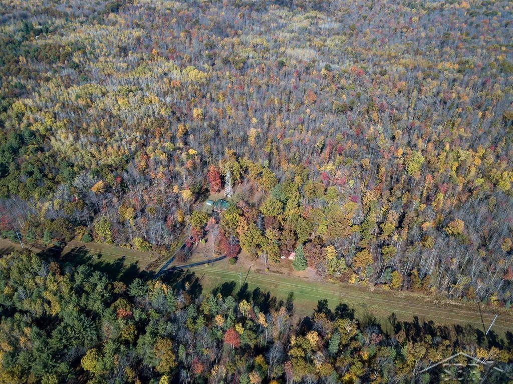 3278 W Chippewa River Road, Shepherd, MI 48883 — Photo 30