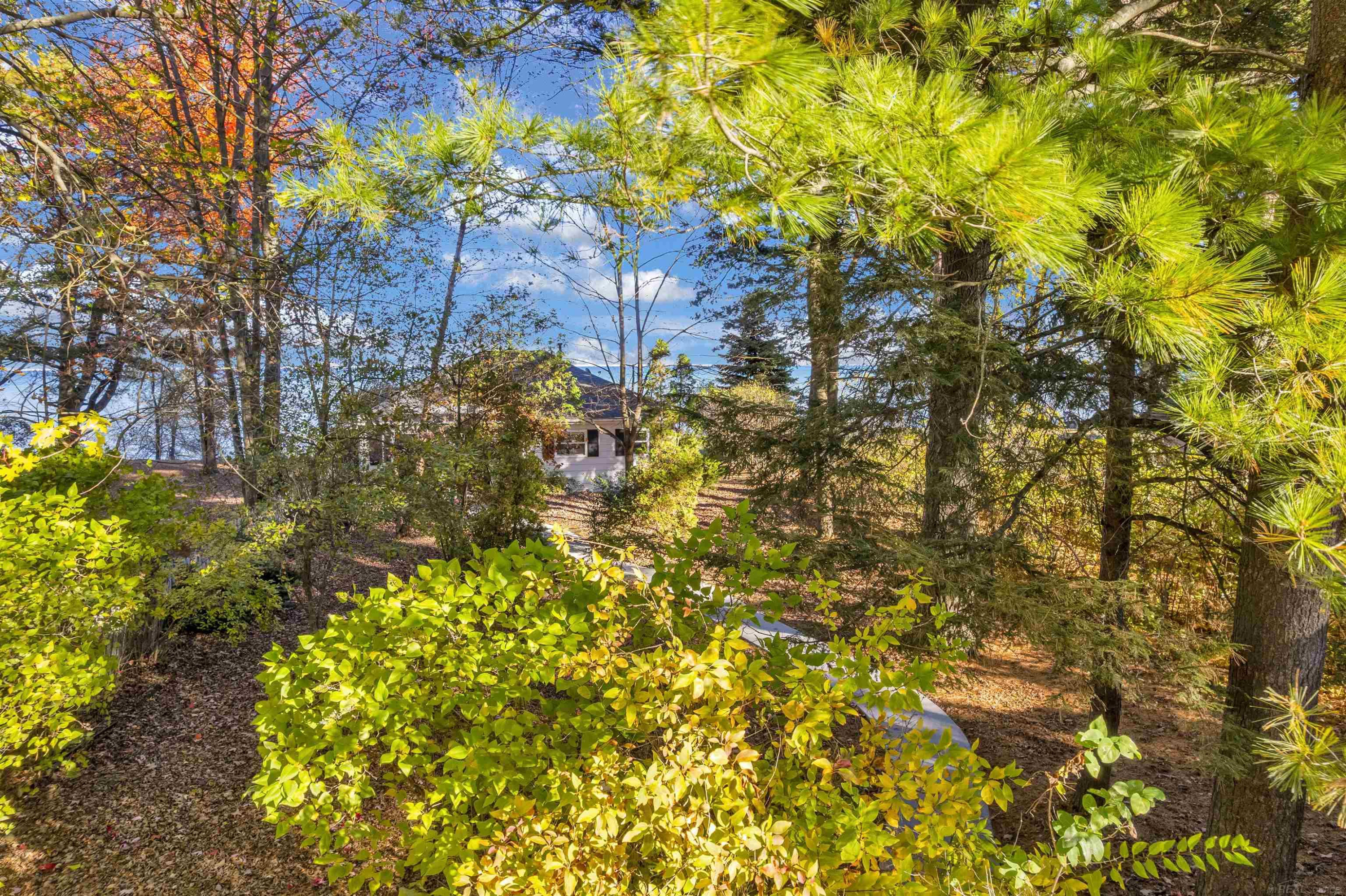 8665 Lakeshore Road, Lexington, MI 48450 — Photo 3