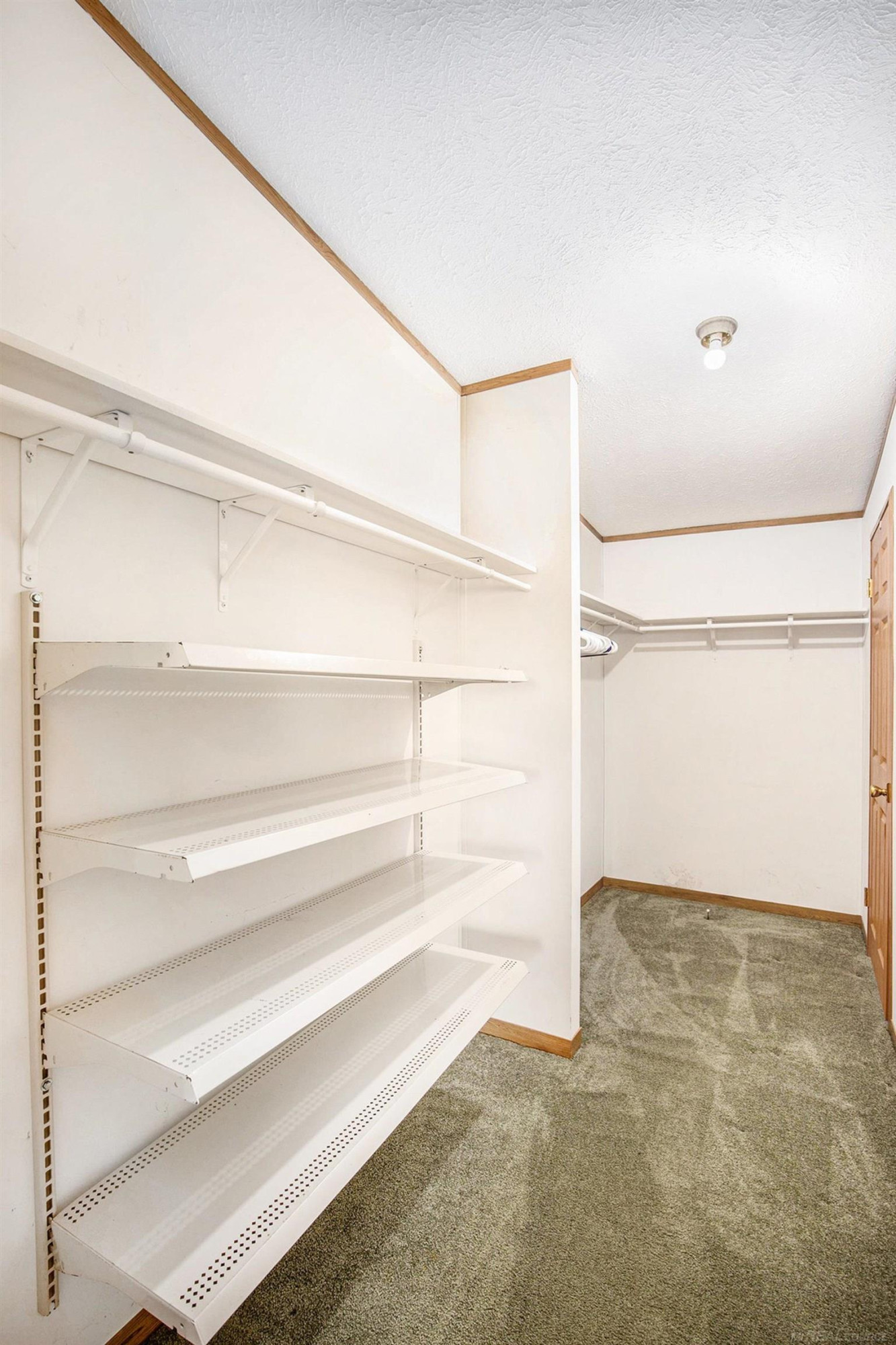 2892 W Koylette Road, Marlette, MI 48453 — Photo 13