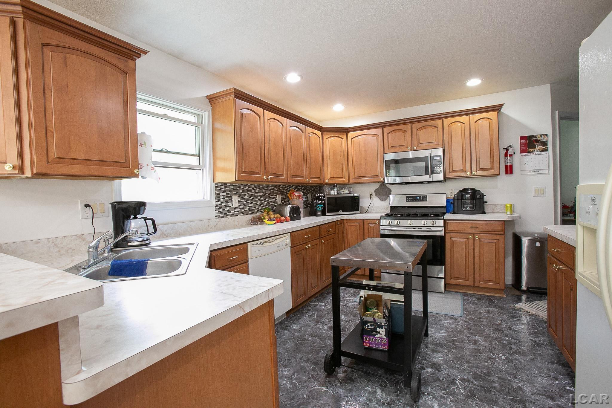 10291 Glencoe Road, Jerome, MI 49249 — Photo 10