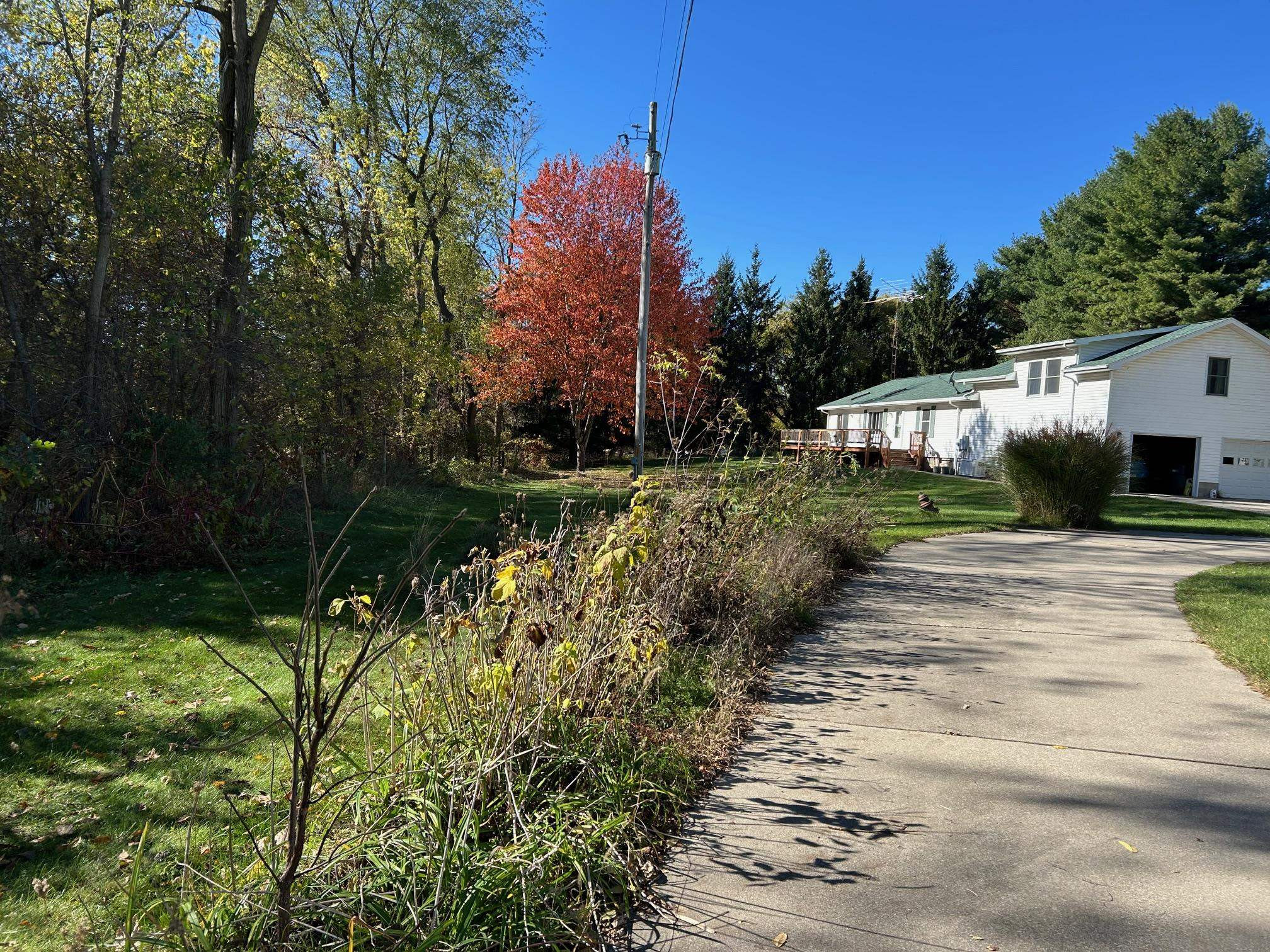 320 Williams Street, Perry, MI 48872 — Photo 5