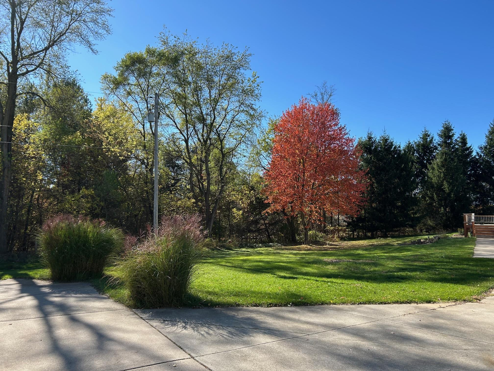 320 Williams Street, Perry, MI 48872 — Photo 8