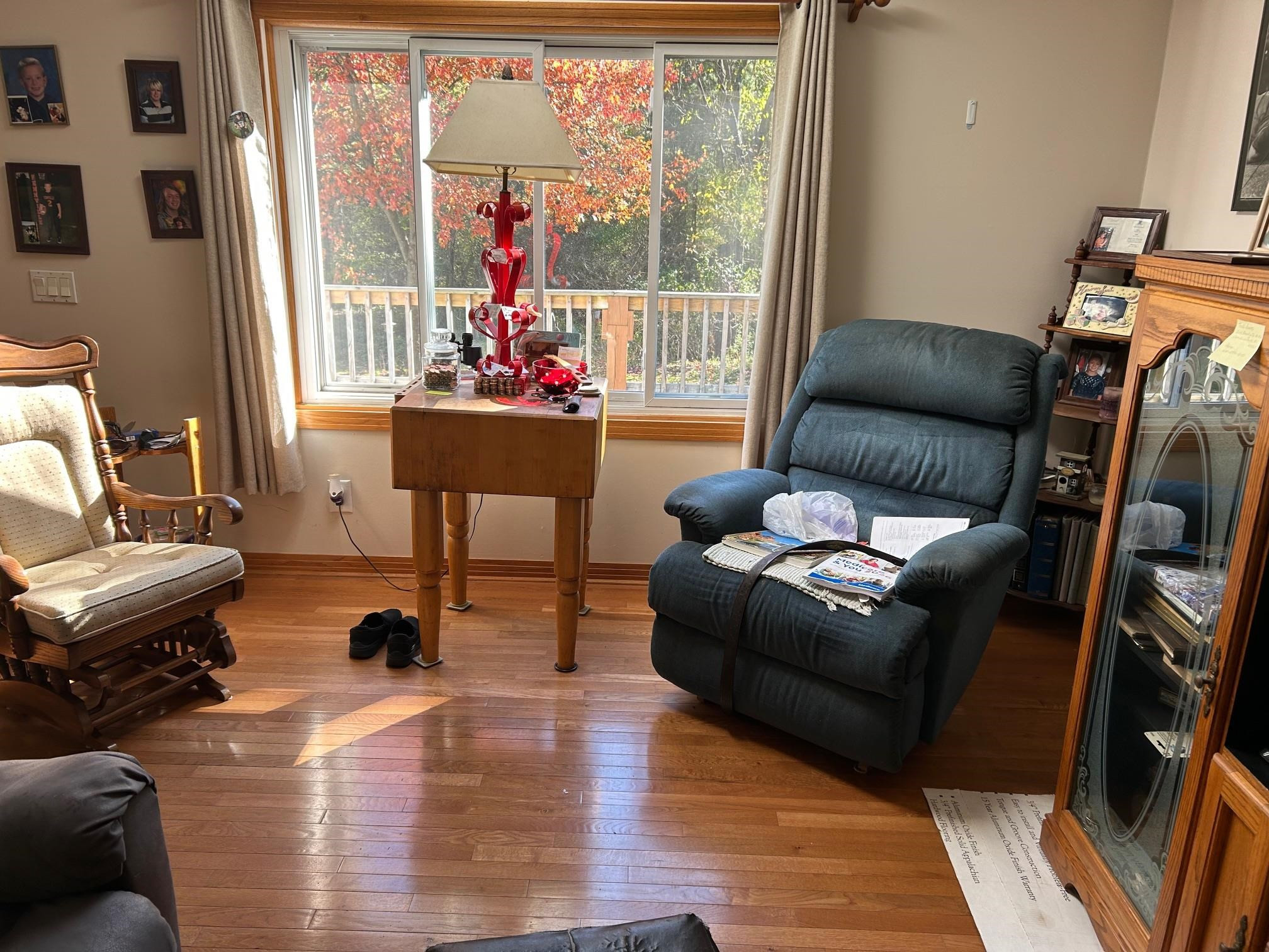 320 Williams Street, Perry, MI 48872 — Photo 19