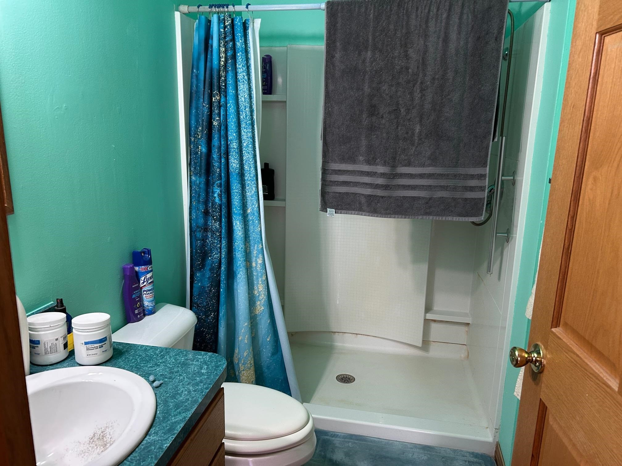 320 Williams Street, Perry, MI 48872 — Photo 29