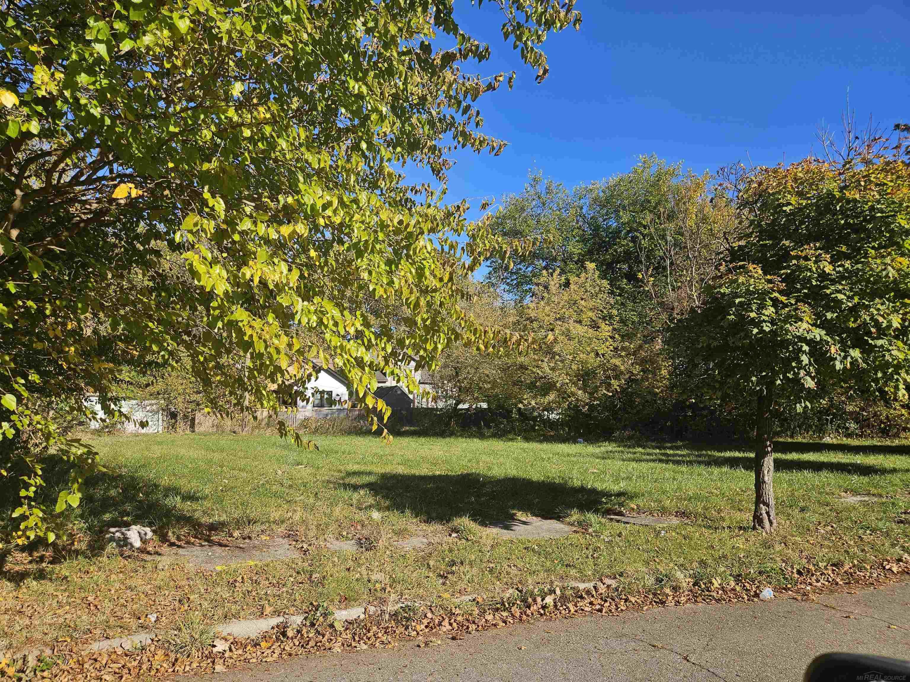 470 Navahoe Avenue, Detroit, MI 48215 — Photo 3