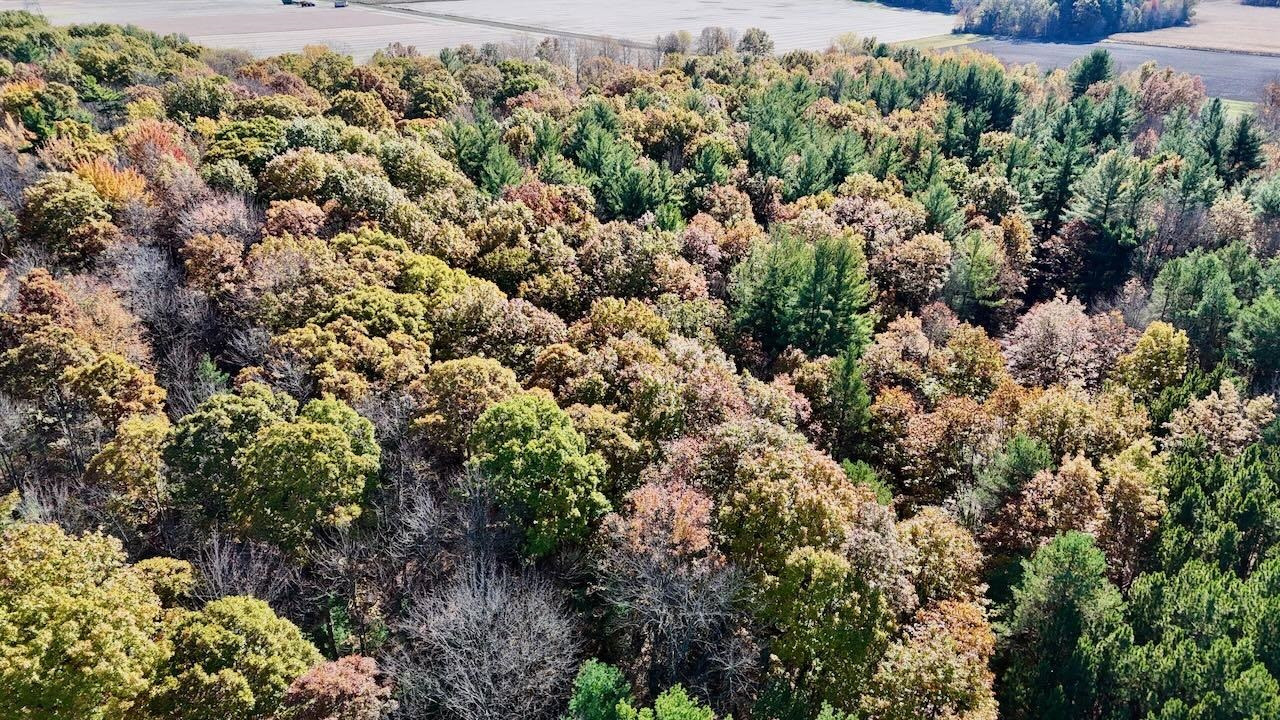 13271 S Hemlock Road, Chesaning, MI 48616 — Photo 10
