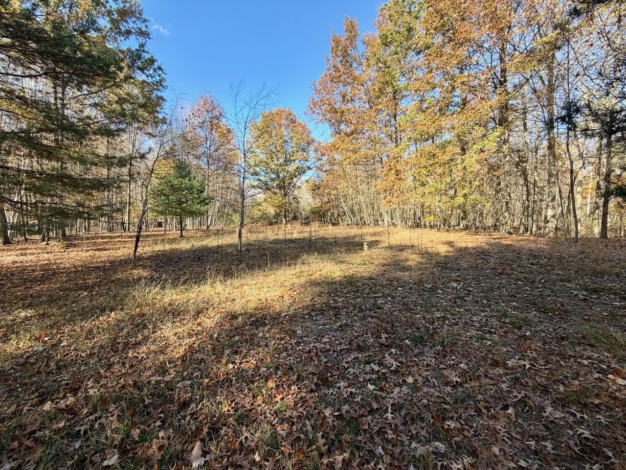 13271 S Hemlock Road, Chesaning, MI 48616 — Photo 17