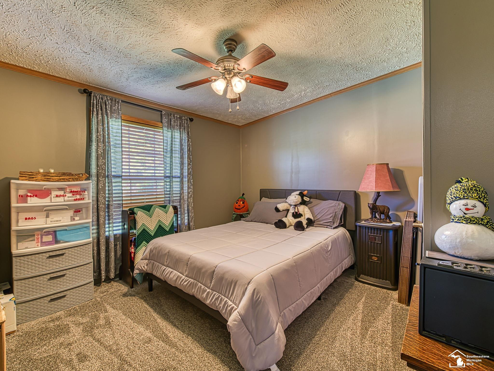 12345 W Dunbar Road, Dundee, MI 48131 — Photo 27
