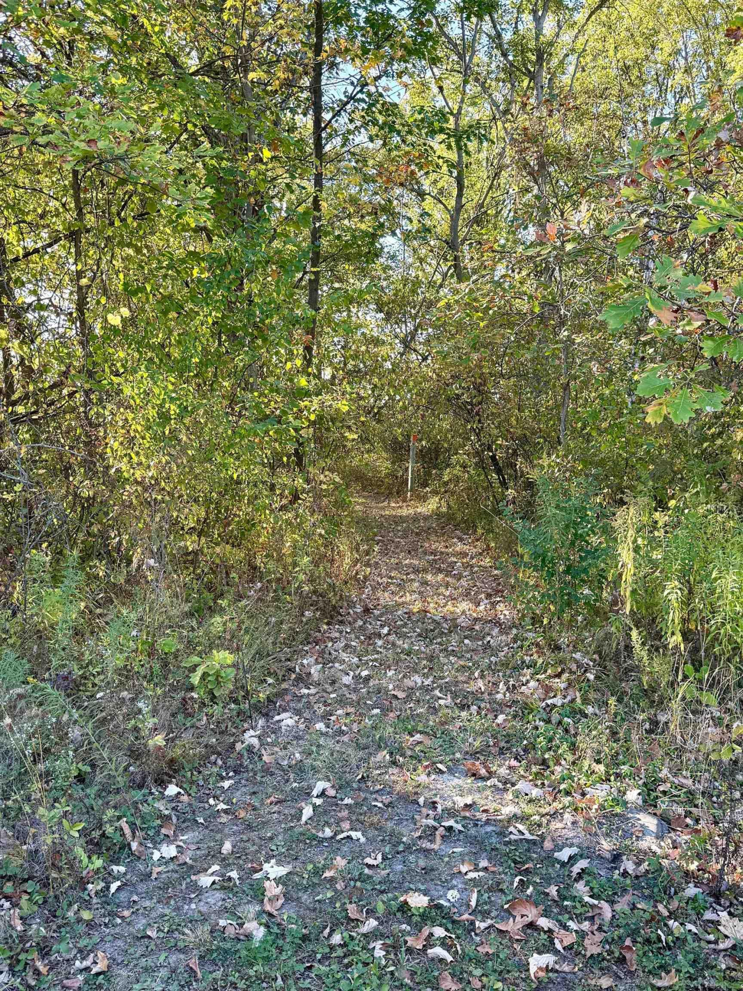 1195 W French Line Road, Sandusky, MI 48471 — Photo 18
