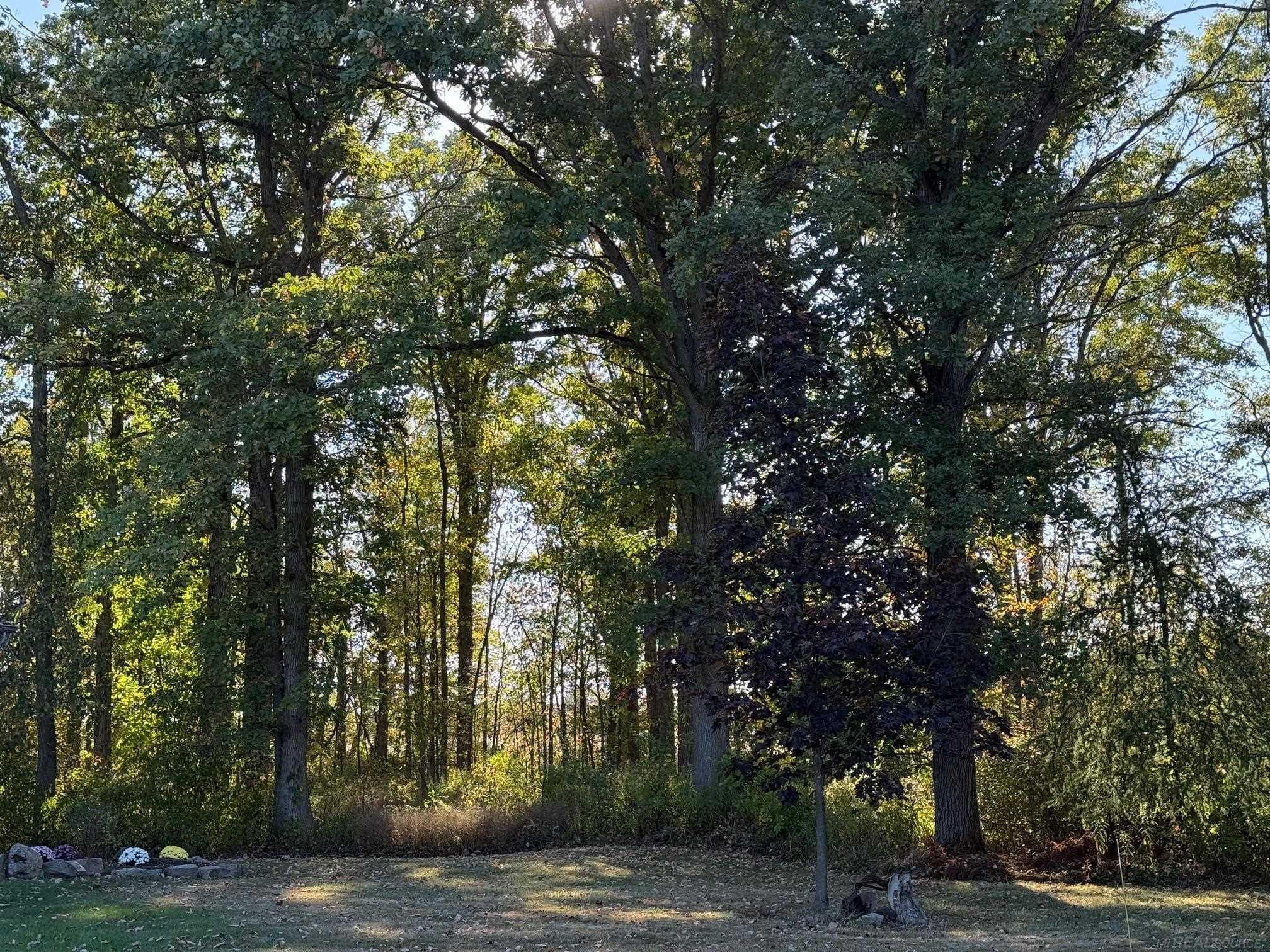 1195 W French Line Road, Sandusky, MI 48471 — Photo 19