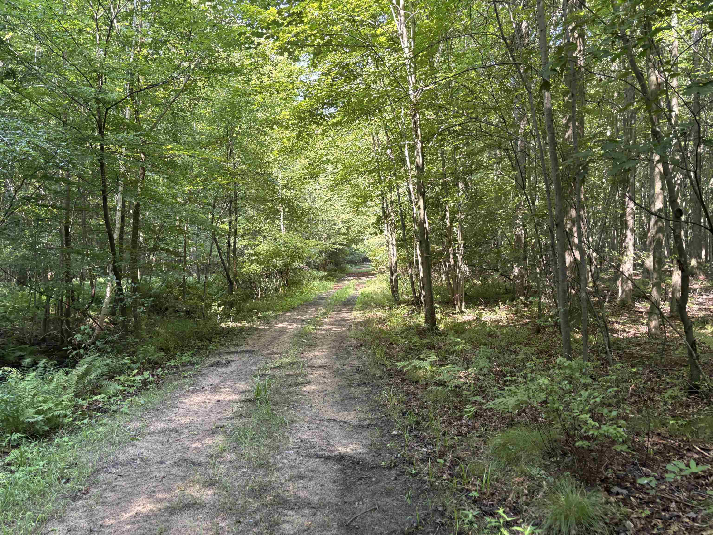 15530 Fowler Road, Oakley, MI 48649 — Photo 20