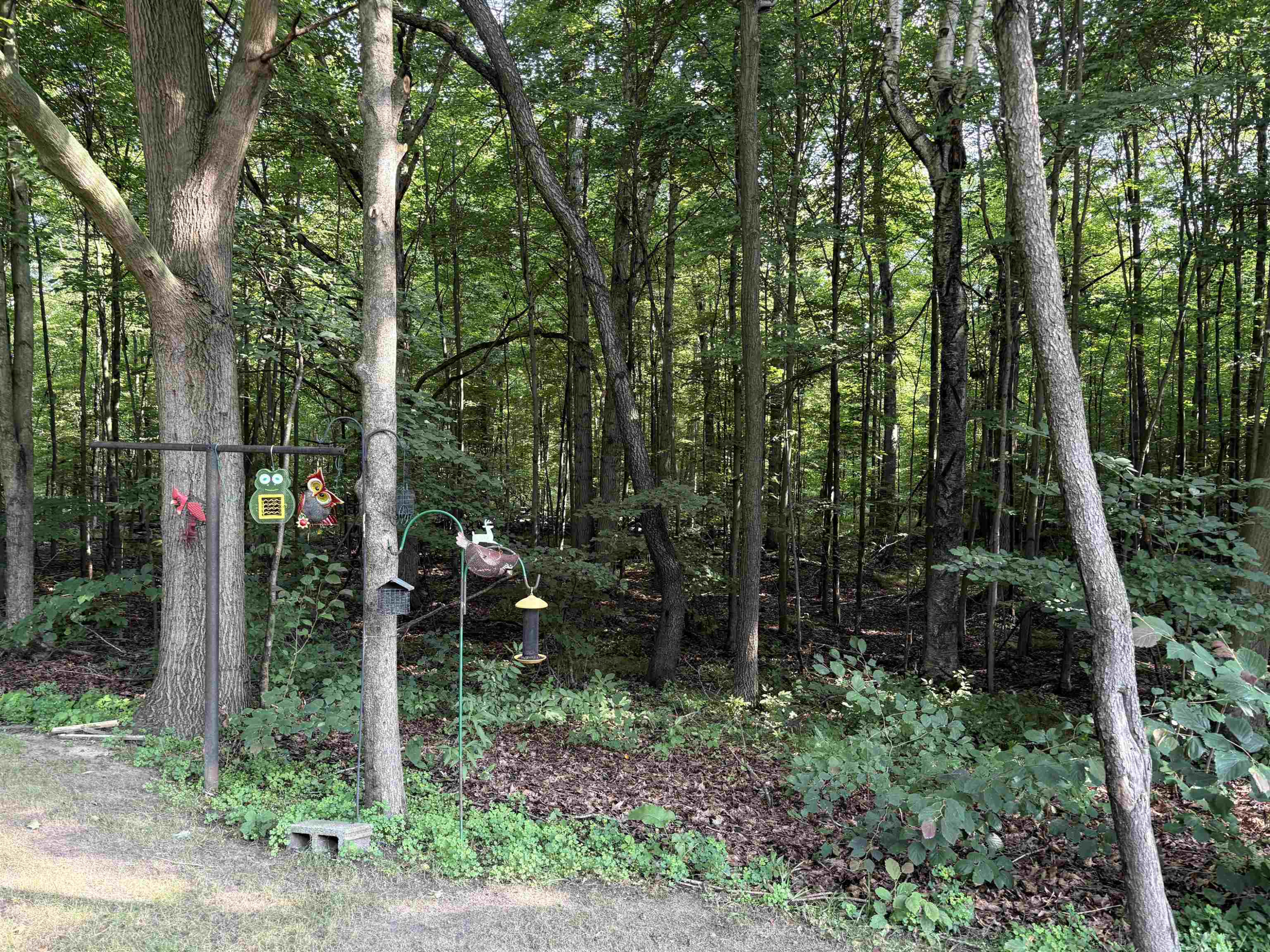 15530 Fowler Road, Oakley, MI 48649 — Photo 25