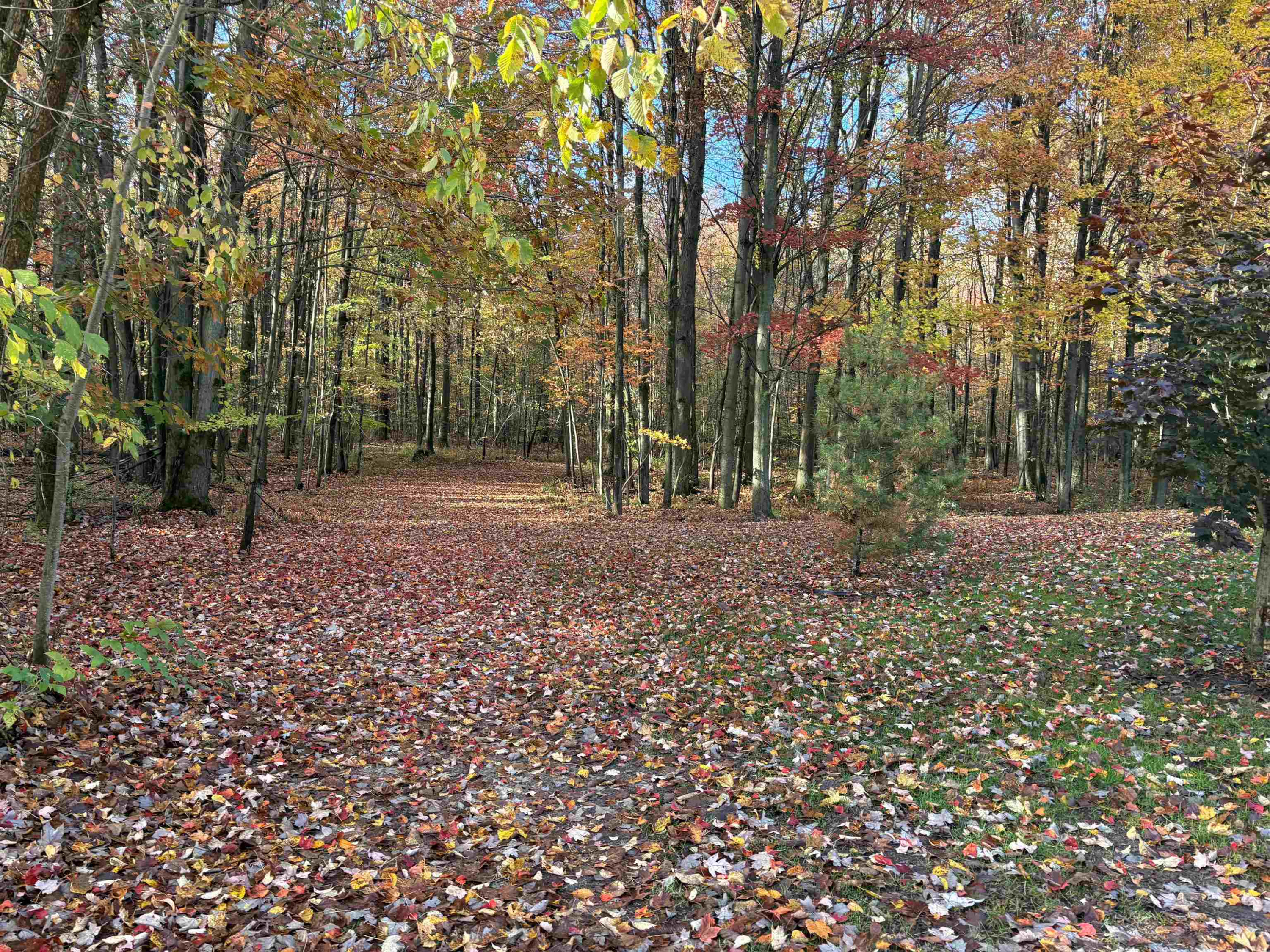 15530 Fowler Road, Oakley, MI 48649 — Photo 27
