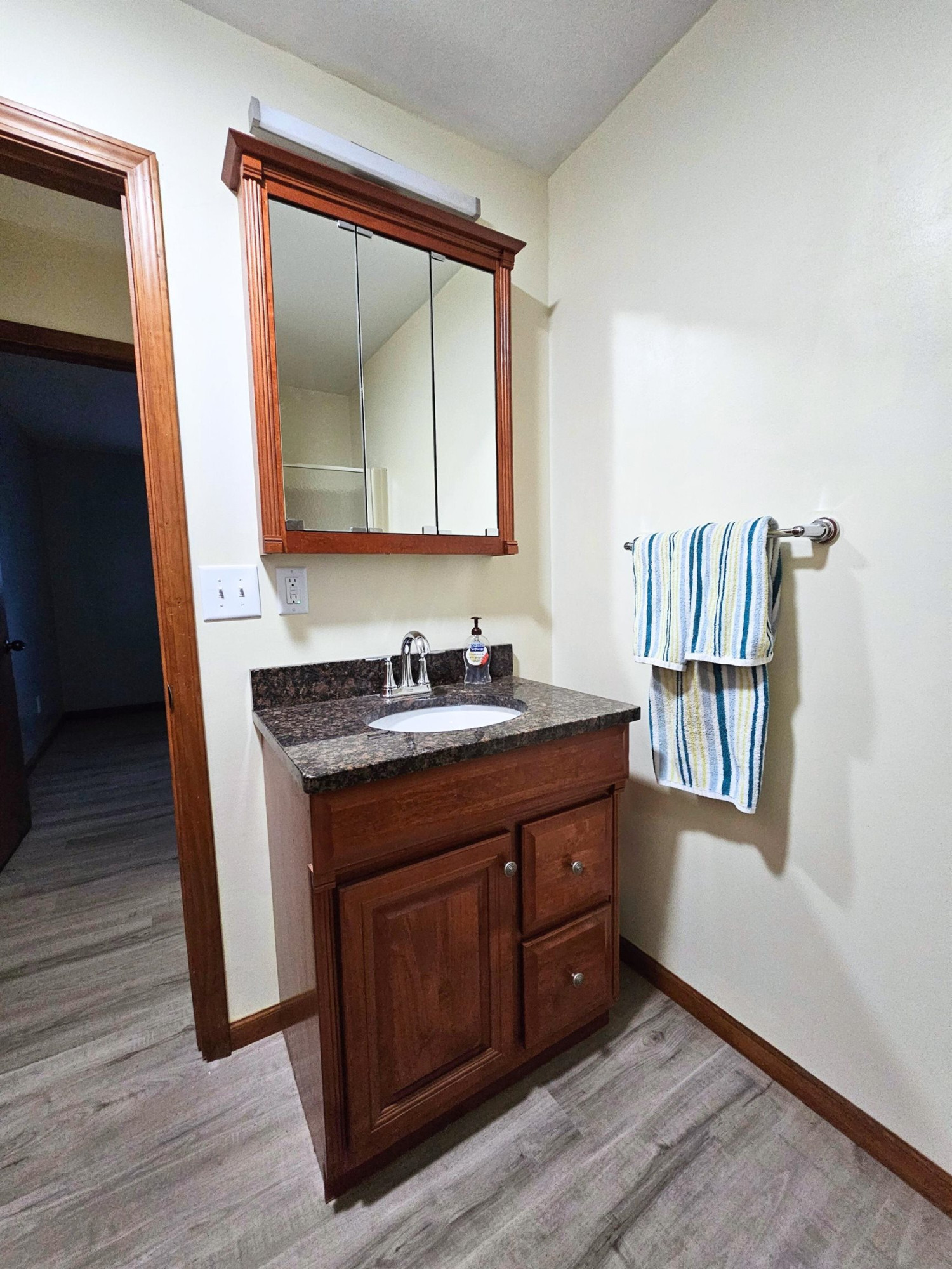8651 Canada Road, Birch Run, MI 48415 — Photo 9