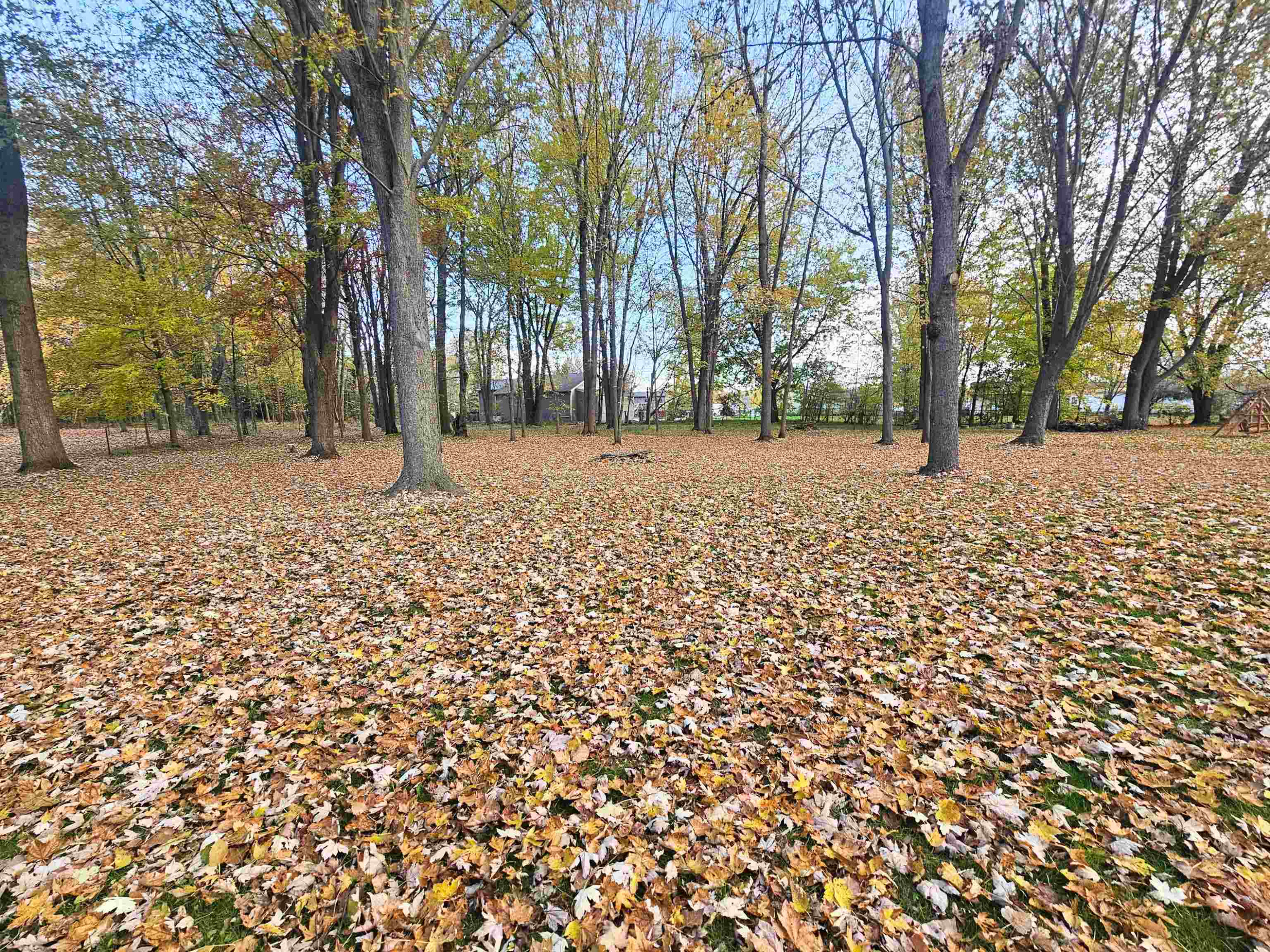 8651 Canada Road, Birch Run, MI 48415 — Photo 39