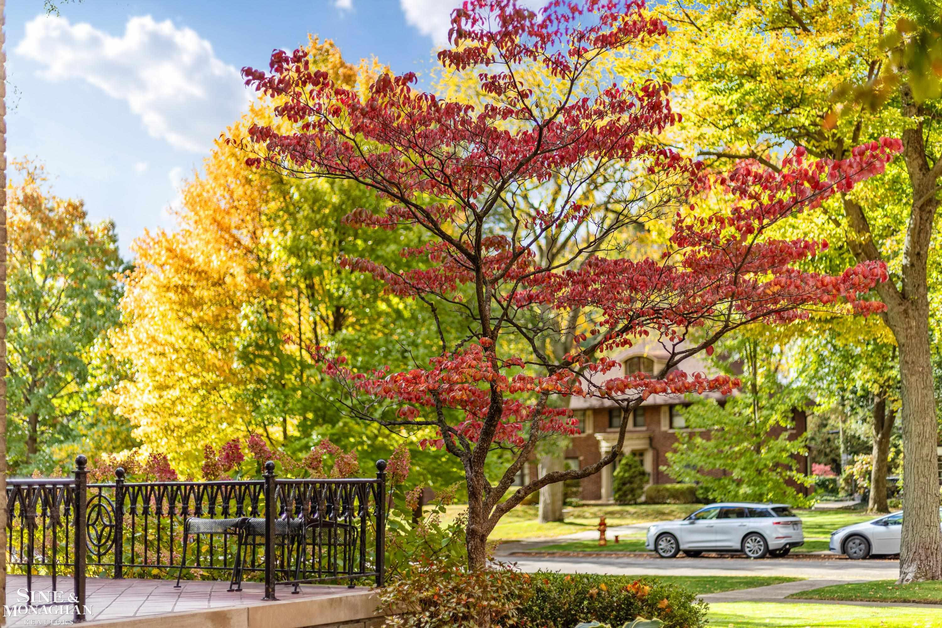 1148 Devonshire Road, Grosse Pointe Park, MI 48230 — Photo 8