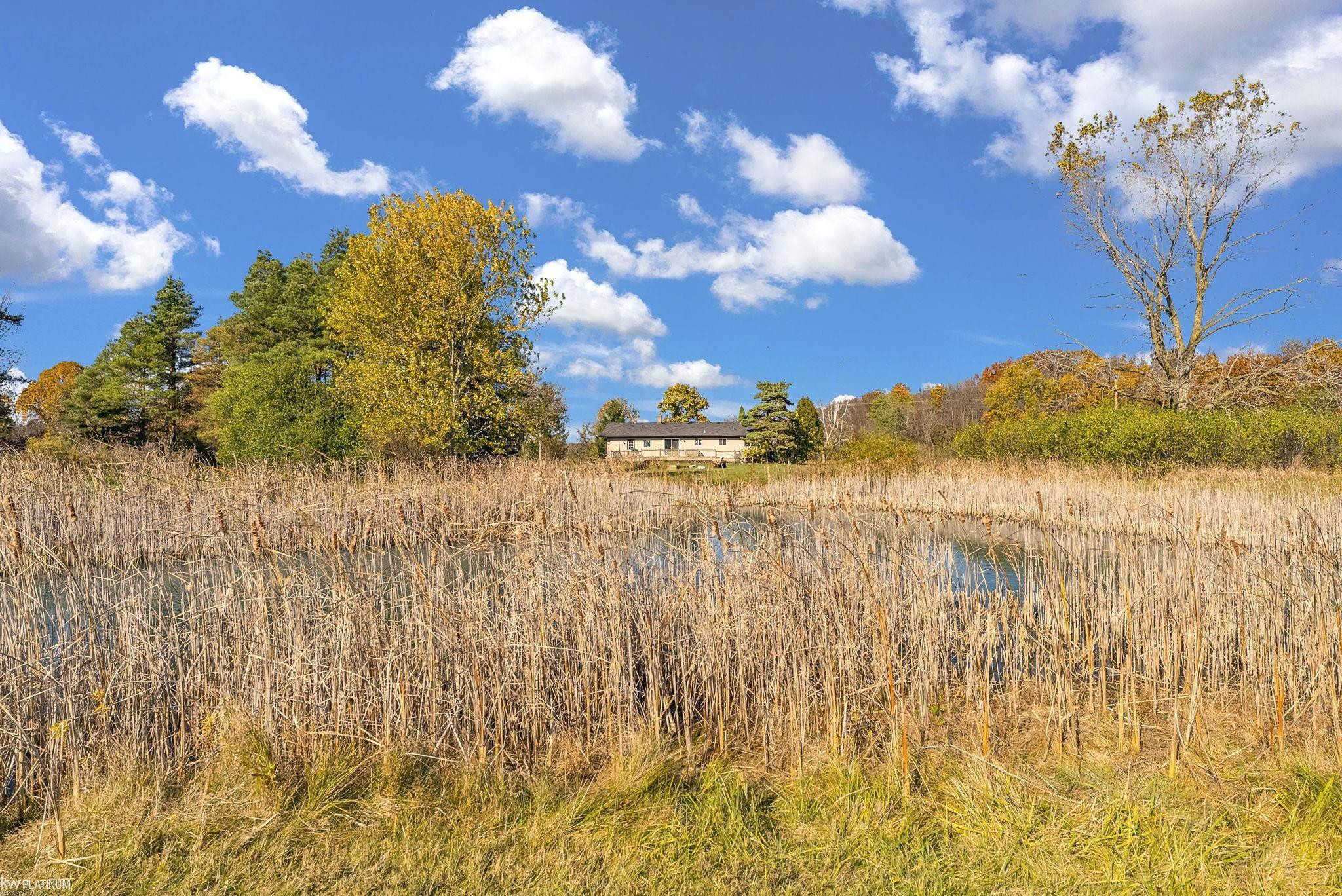 15183 Yale Road, MI 48097 — Photo 51