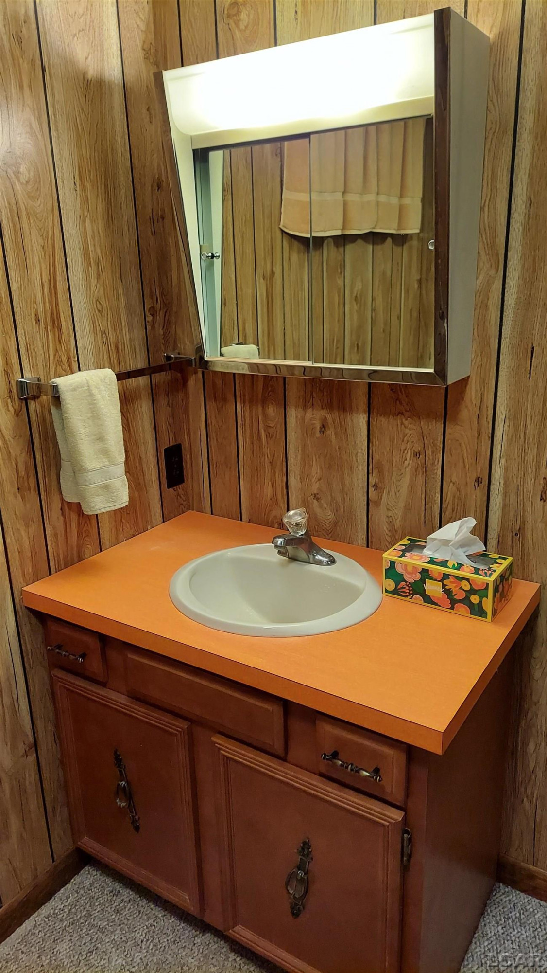 11800 N Adrian Hwy Highway, MI 49236 — Photo 17