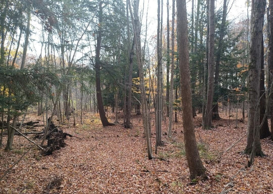7241 Bryce Road, MI 48049 — Photo 50