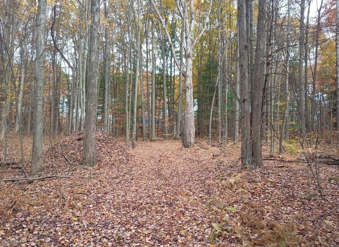 7241 Bryce Road, MI 48049 — Photo 51