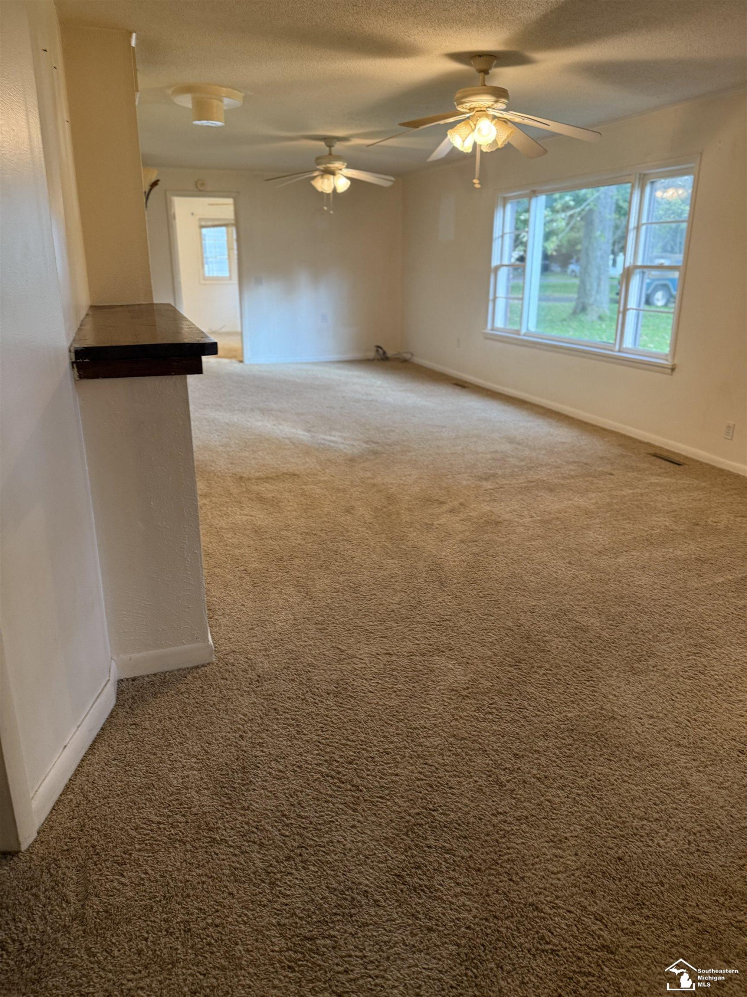 29 E Vesey Street, Petersburg, MI 49270 — Photo 3