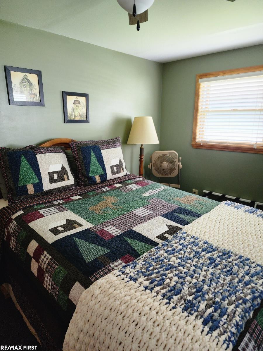 2880 S Whitney Beach Street, Beaverton, MI 48612 — Photo 12