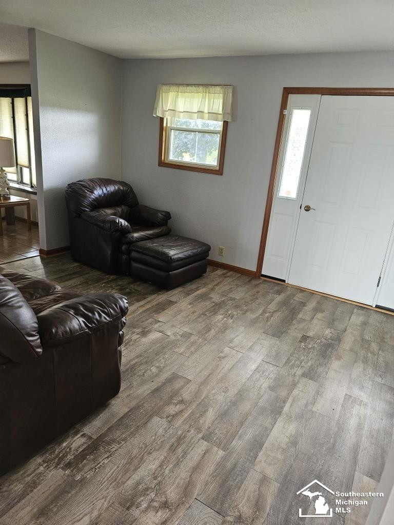 5724 Consear Road, MI 49267 — Photo 7