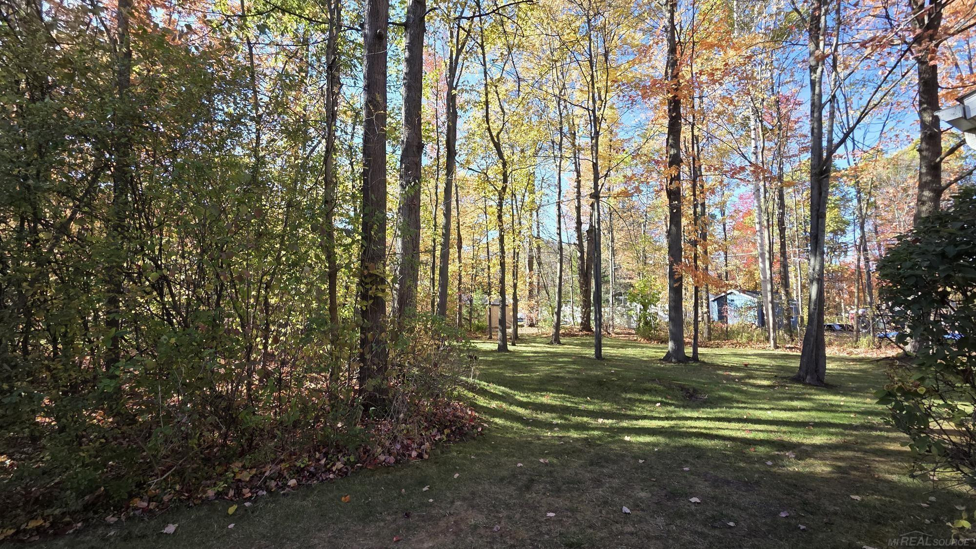 7444 Forest Road, Lexington, MI 48450 — Photo 3