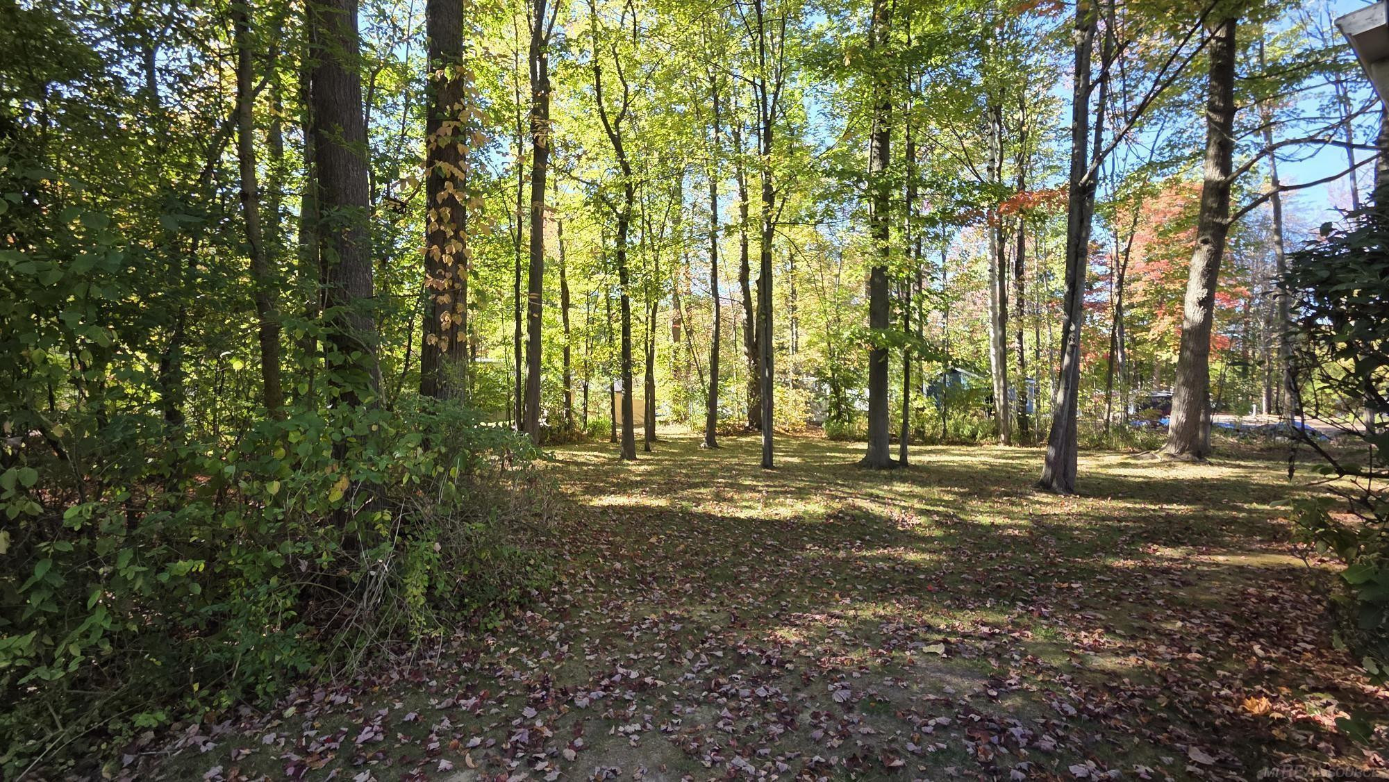 7444 Forest Road, Lexington, MI 48450 — Photo 22