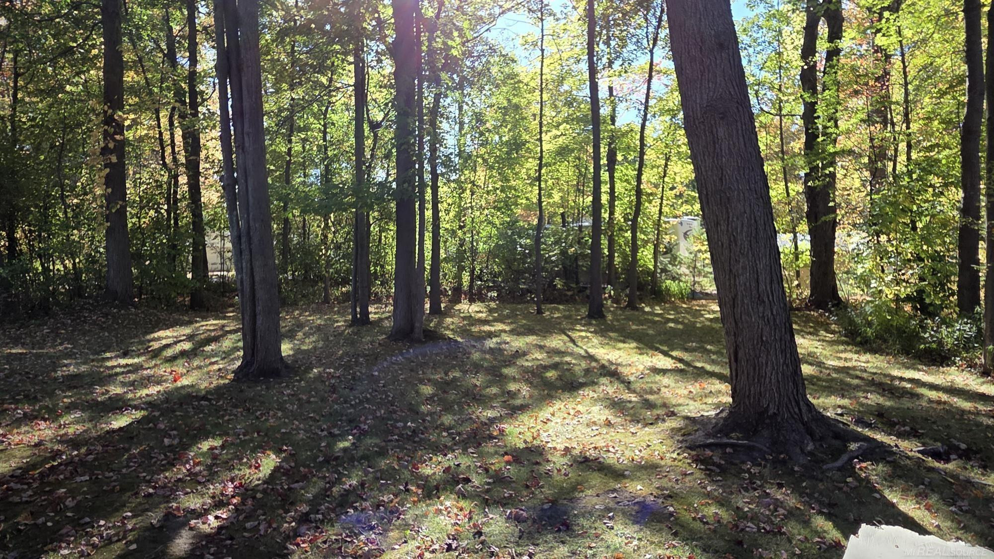 7444 Forest Road, Lexington, MI 48450 — Photo 23