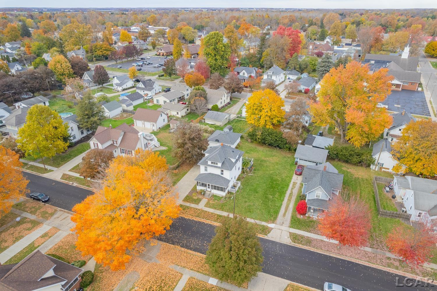 215 White Street, Blissfield, MI 49228 — Photo 5